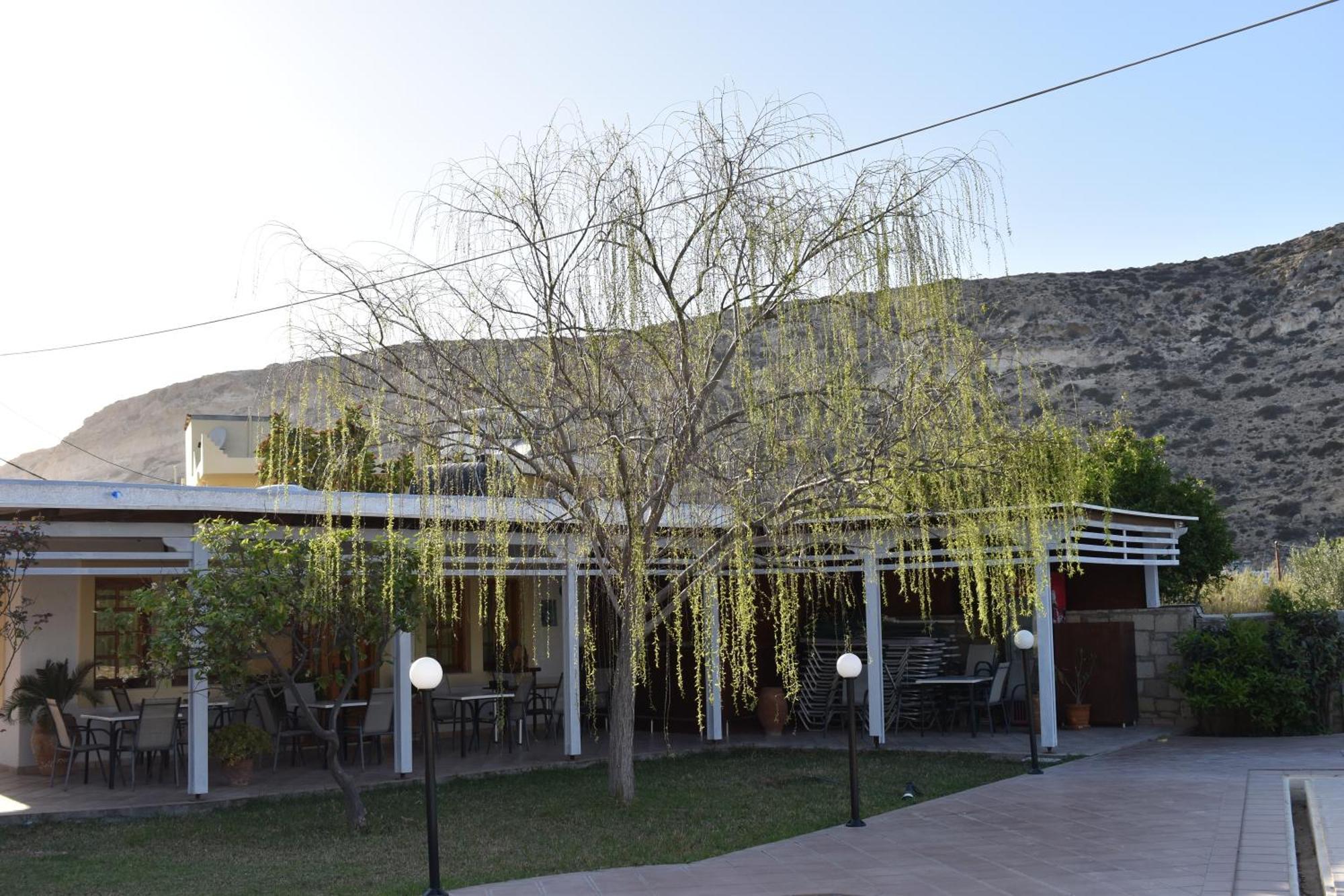 Dimitris Villa Hotel マタラ エクステリア 写真