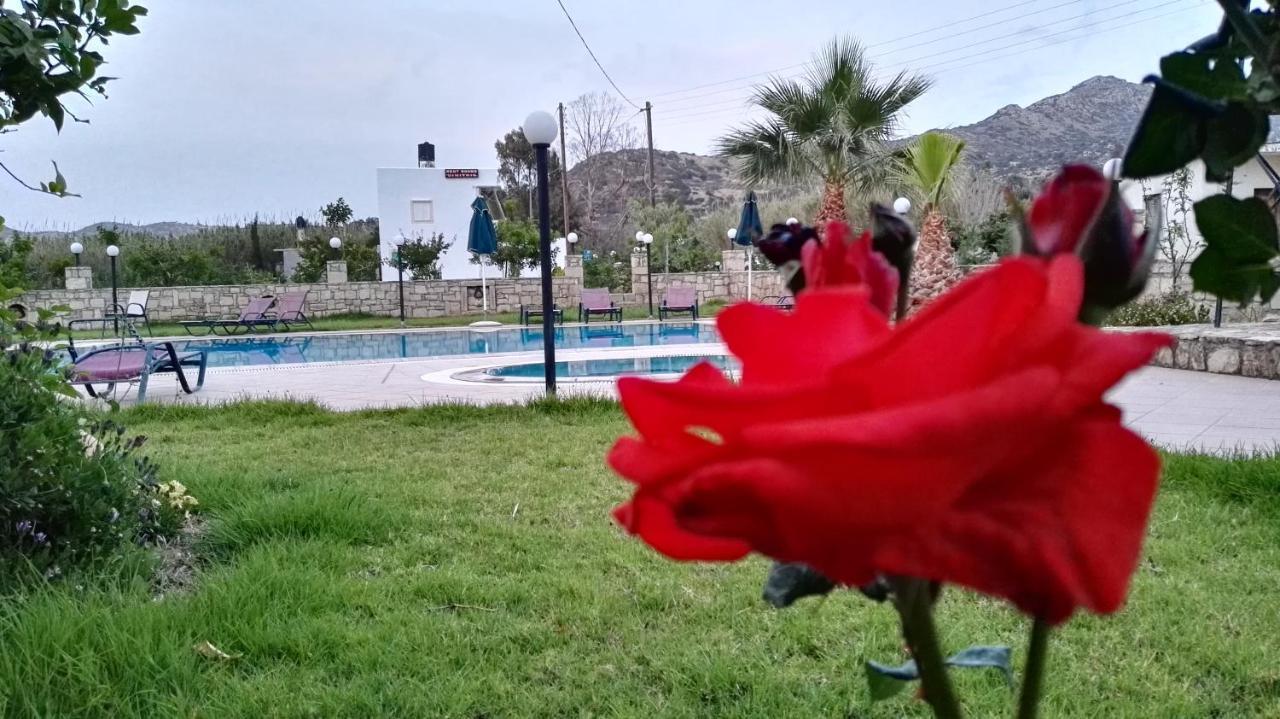 Dimitris Villa Hotel マタラ エクステリア 写真